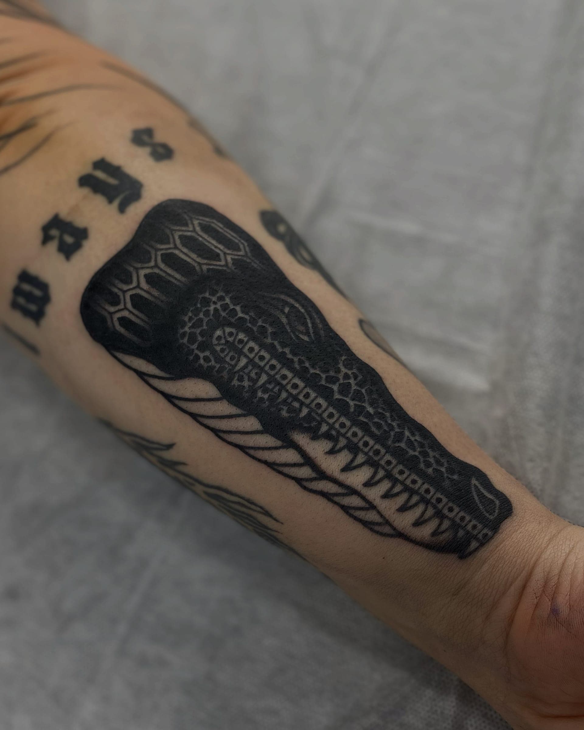 Black ink crocodile head with textured scales and bared teeth running